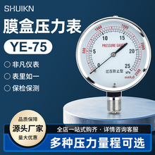 YE-75�^����ֹ��Ĥ�Љ�����΢������Ȼ��ǧ����0-6kpa10kpa20kpa