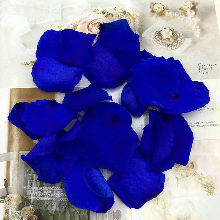 Flor inmortal pétalos de rosa flores verdaderas Día de San Valentín boda coche de boda decoración del hogar Flor inmortal DIY material al por mayor