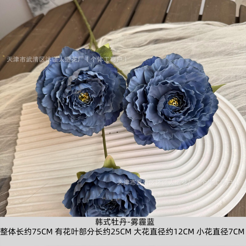 한국식 모란 헤이즈 블루