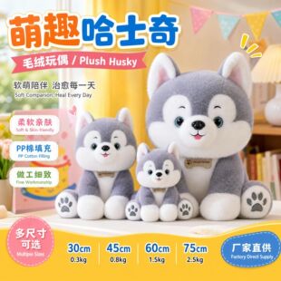 �羳������ʿ��ë�q��߹��з��������ż��ͯ���ᱧ��S��ֱ����