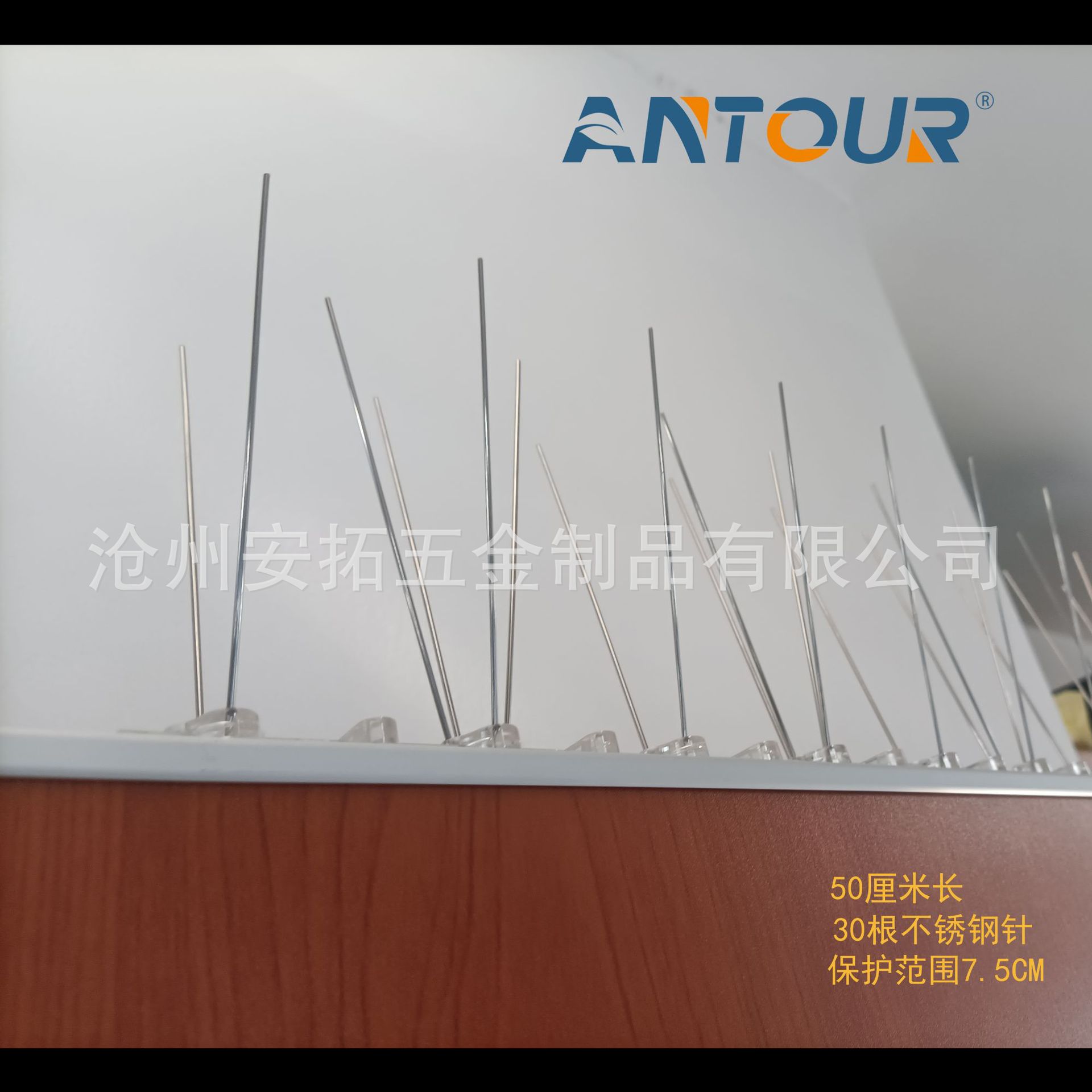 沧州工厂驱鸟刺50CM长30刺屋檐果园驱赶小鸟鸽钉防鸟刺鸟钉供货商