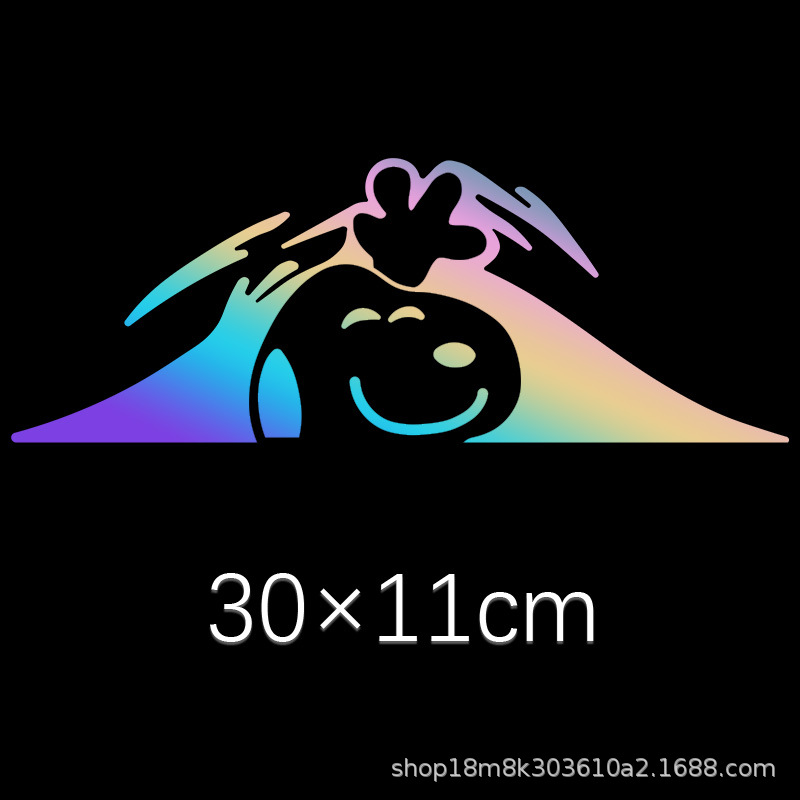 다채로운 레이저 30cm 조각