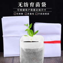 �o����������ɽ�����Ó�Nֲ���@ˇ�o��������I�B�����籭������