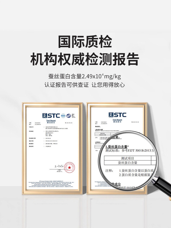 蚕丝蛋白打底衫2025年秋冬打底衫女显瘦上衣长袖T恤内搭韩版修身|undefined