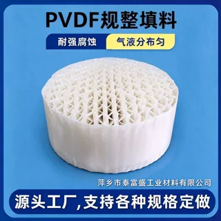 PVDF 孔板波纹填料 125Y/250Y/350Y 聚偏氟乙烯规整填料