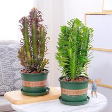 ����ֲ�����������Ի����҃����̨�͏d����������������ͺ�ֲ��