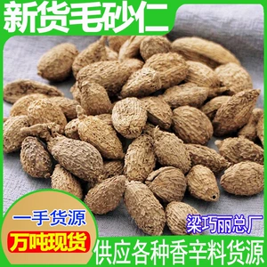 [砂仁 中药材香料批发毛砂仁 阳春砂仁产地直供 卤水炖肉砂仁]