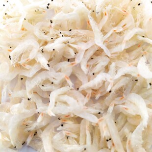 ɽ�|���I���a Դ�a�����a���lֱ�N   �rƤ �r�rƤ  Դ�^ ֱ��