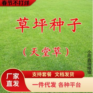 һ�����l���òݷN�� �Ͱ��Ͳ�ƺ�� ���`̤��С�^���@�G���N��