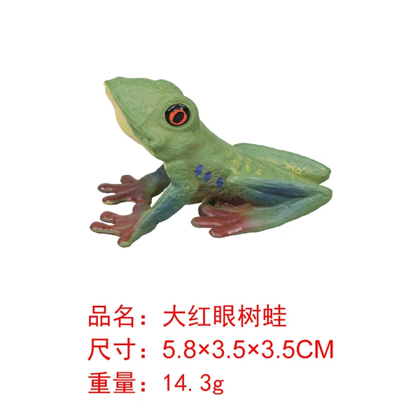 KZ3005 Big Red-Eyed Tree Frog