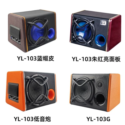 active car audio, Car speaker/subwoofer