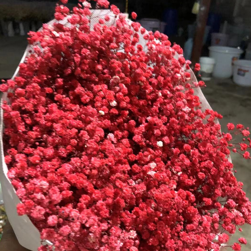 starry sky preserved fresh flower factory direct supply preserved fresh babysbreath dried flower bouquet starry sky dried flower flowers