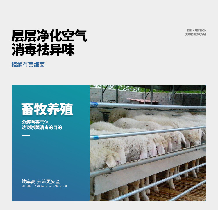 消毒除臭详情_03