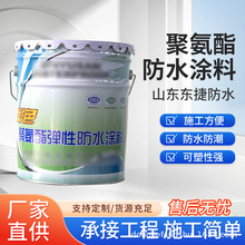 外墙屋顶平房裂缝厨房卫生间彩色聚氨酯防水涂料聚氨酯防水涂料