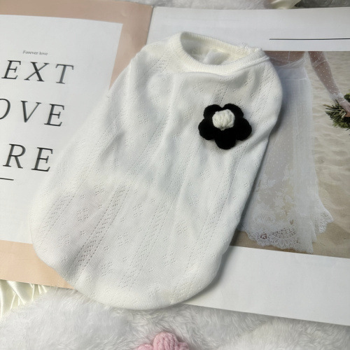 Summer pet clothes