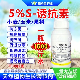 5%S�T����  ���ь���������ɫ�� �����O���߼t�����������L�{����