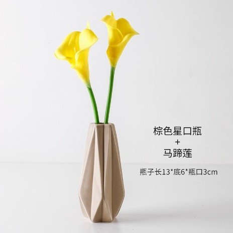 스타 입 병 화이트 + 화이트 탁구 국화