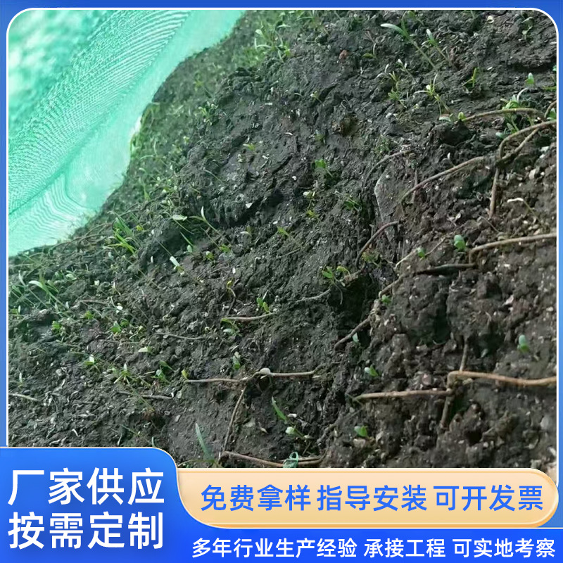 绿化客土喷播植草荒山复绿生态治理边坡施工山体团粒喷播生态修复