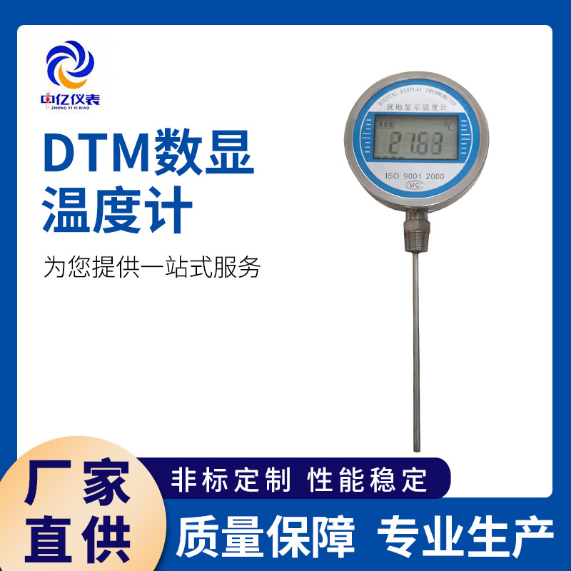 数显温度计 液晶显示温度计 反应速度温度仪表 DTM数显仪表
