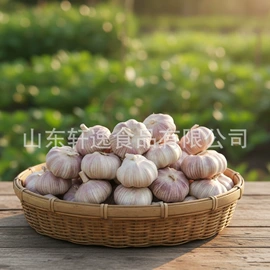 蒜;其他调味品;脱水蔬菜