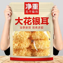 ����û�и�����´���������������ľ��Ŵѩ���ٺ�������