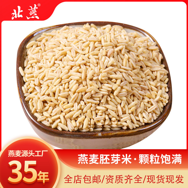 Northern Yanyan Oat Germ Rice Whole Germ Naked Oat Rice Directly Supplied from Basha Main Production Area Grain Factory in Bulk