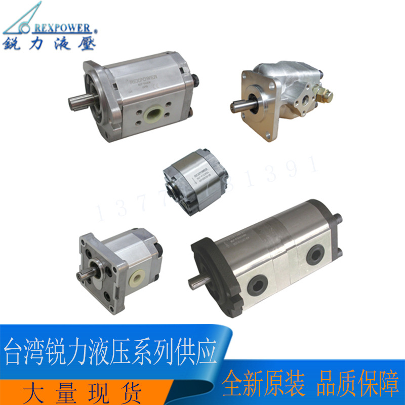 台湾REXPOWER锐力齿轮泵RGP-F204R-12  RGP-F205R RGP-F205R-12
