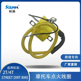 点火器;电子调节器;摩托车配附件