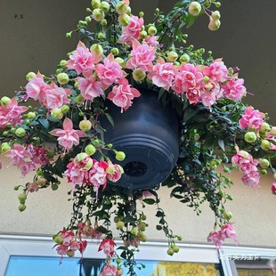 ������R���ԟ��\�����ذ���ļ��_�������҃��̨���B�׳ɻ�