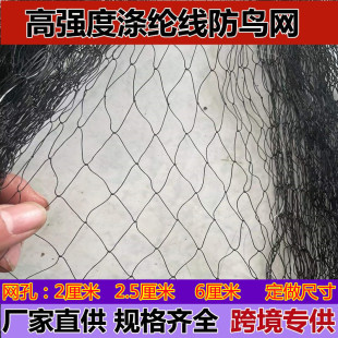 Factory batch direct supply bird-proof net bird-blocking net pond net Orchard airport protection net black nylon cross-border bird-proof net