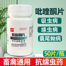 兽药吡喹酮片体内驱虫药线虫绦虫牛羊猪大型犬宠物狗狗猫咪鸡鸭鹅