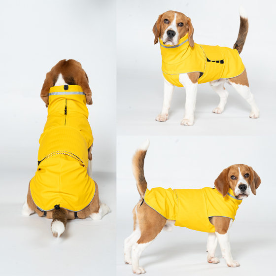 Pet clothes Europe and the United States cross-border wholesale direct spring and autumn clothing waterproof and dustproof dog pet raincoat