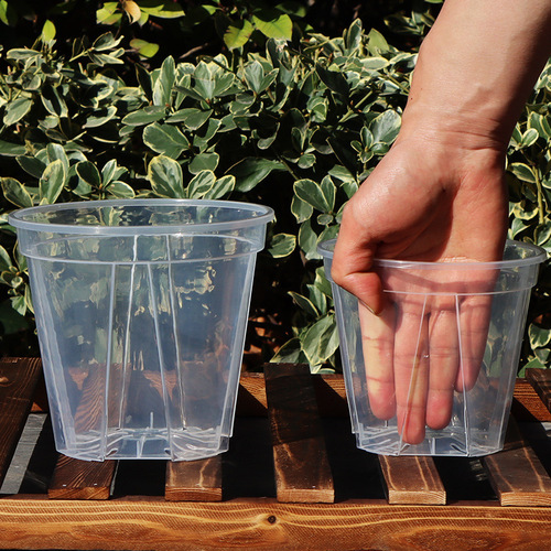 New Style Transparent Root-Controling Qing Shan Pot Breathable Phalaenopsis Pot Flower Gardening Pot Dendrobium Orchid Heat-Resistant Planting Pot Wholesale