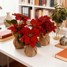 �羳��ƷһƷ�t�ٻ����Ի�ˇ�ɻ��b[���׻��ܲ��������[���S��