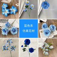 �{ɫϵ2��Y���滨�� ��c����Y�ò��ø߼��е��Ż�·���廨�ٻ�