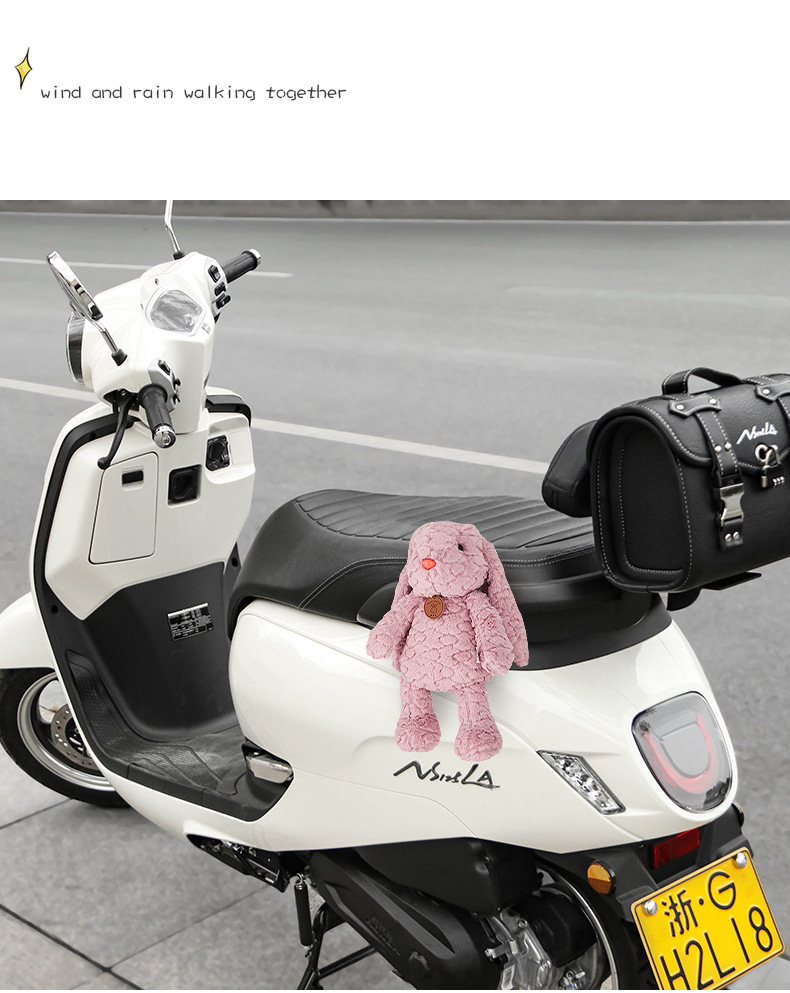 Suitable for Scooter Decorative Parts, Honda Ns125La, Yadi, Aima Body Motorcycle Ornaments, Small Hanging Accessories