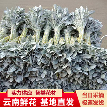 �������ֱ�l�y�~���r���仨���l���������_�I���@�b�������