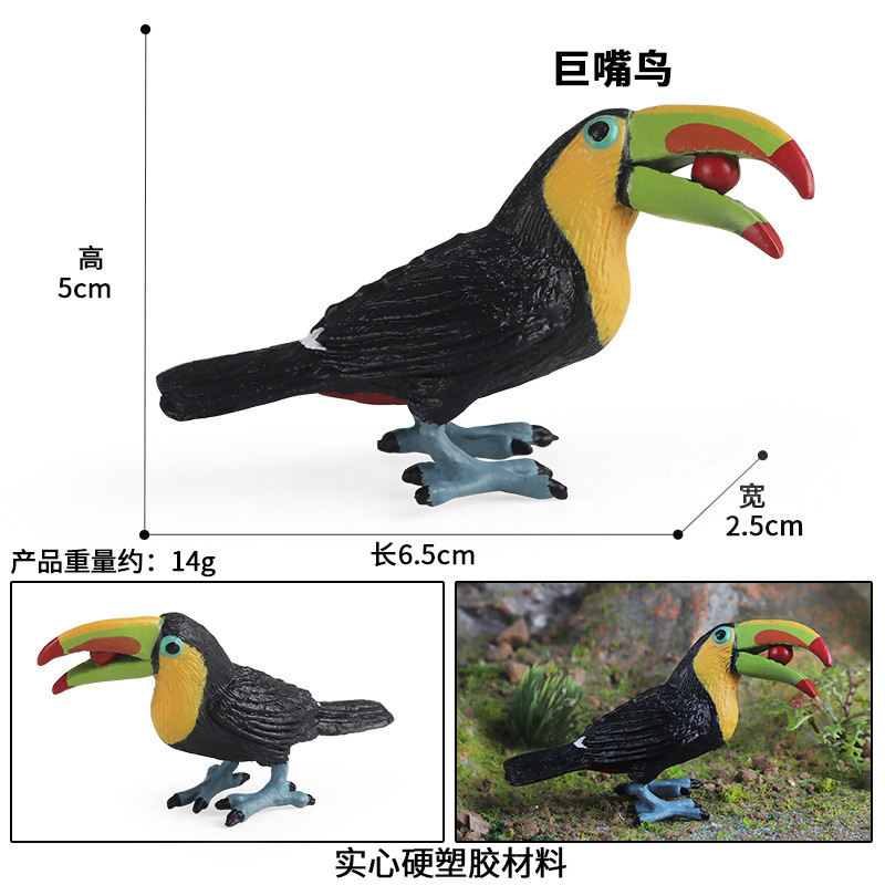 2842 giant mouthbird