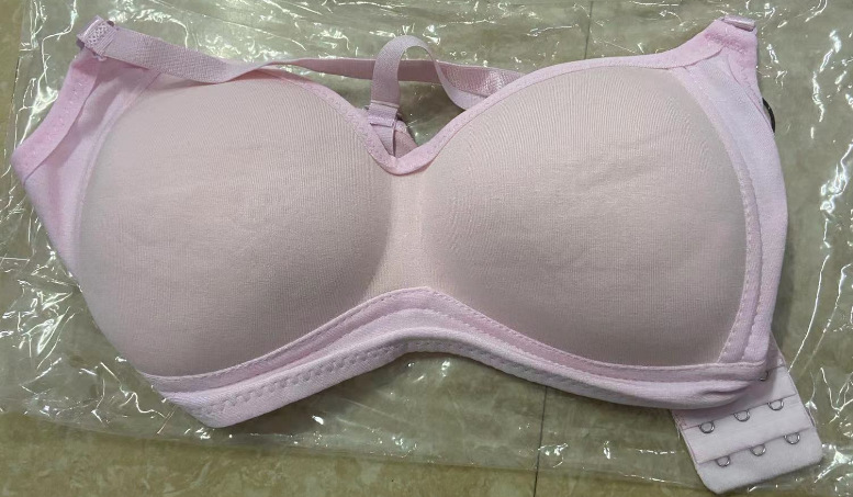 Ropa interior de niña sin anillo de acero sujetador fino de otoño ropa interior sujetador de reunión cómodo