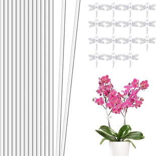 Cross-border acrylic plant pile support Rod Dragonfly orchid clip suitable for indoor and outdoor plant garden pile