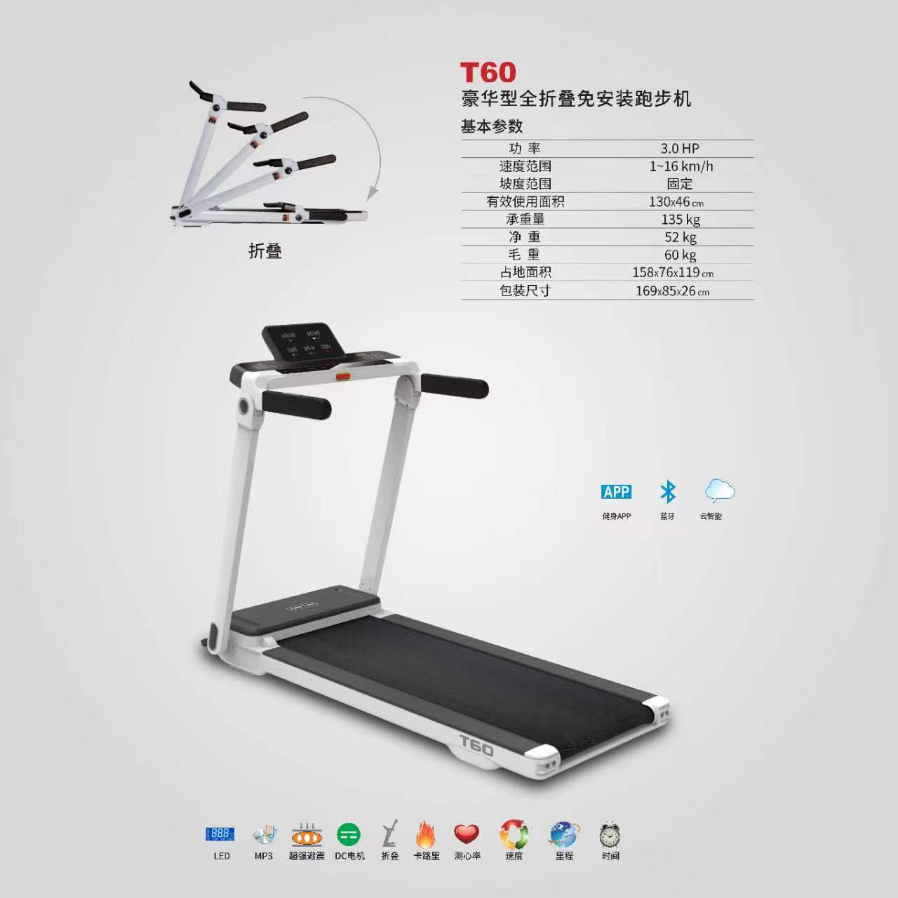 T60.jpg