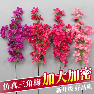 ��������÷�ٻ��ٗl�����T�^�b٘��쾰�һ�֦���ϻ��b�����