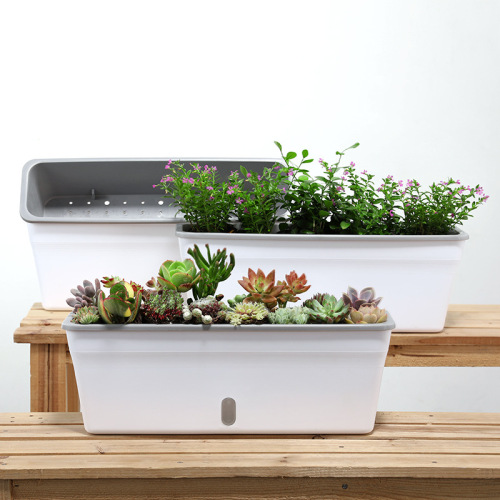 [Silver Dragon Exclusive] Self-watering Plastic Plant Pot Manufacturer Wholesale Rectangular Long Rectangular Water Storage Lazy Pot