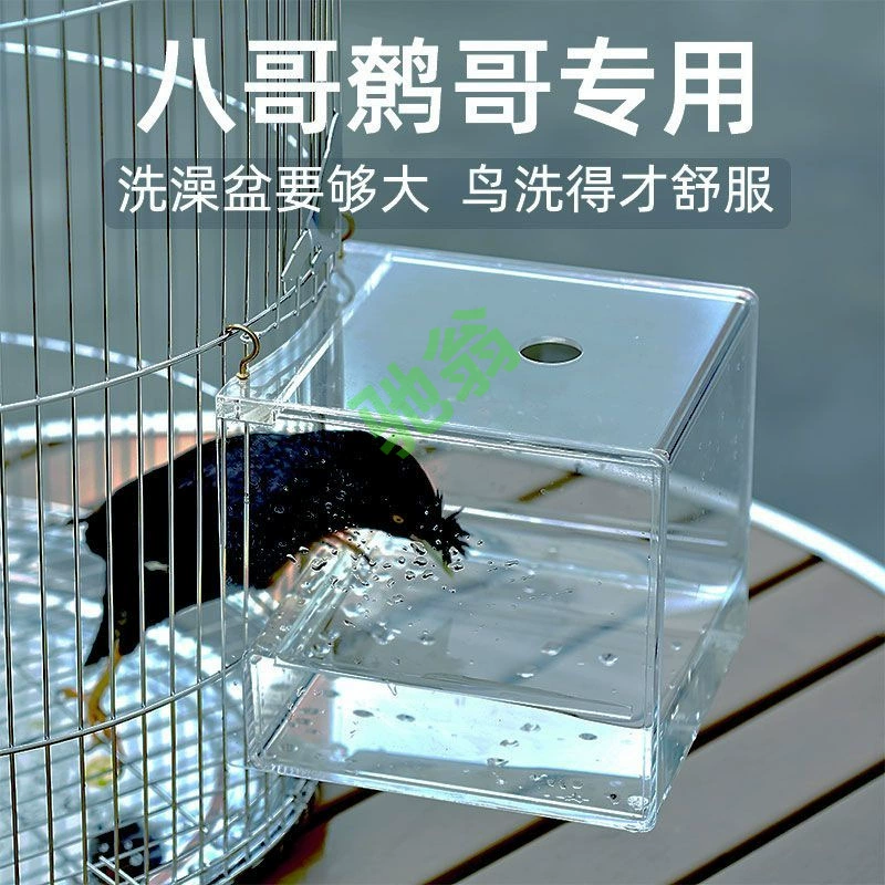 Птицы используют ванну для ванны.