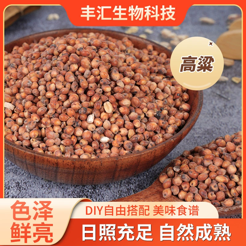 Новые поступления сорго в сезон, северо-восточное красное сорго, очищенное сорго, сырье для производства вина и уксуса, красное сорго, рис сорго.