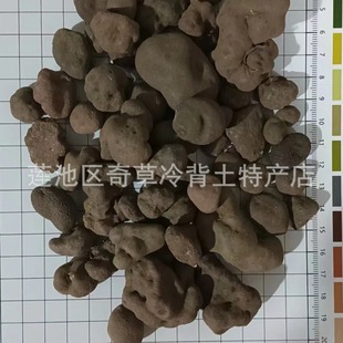 ����,����,�׌�,���l��ș�İ�Ģ���������ĸ������
