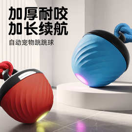 跨境宠物智能逗狗球发声逗狗玩具自嗨解闷绳子狗球宠物玩具