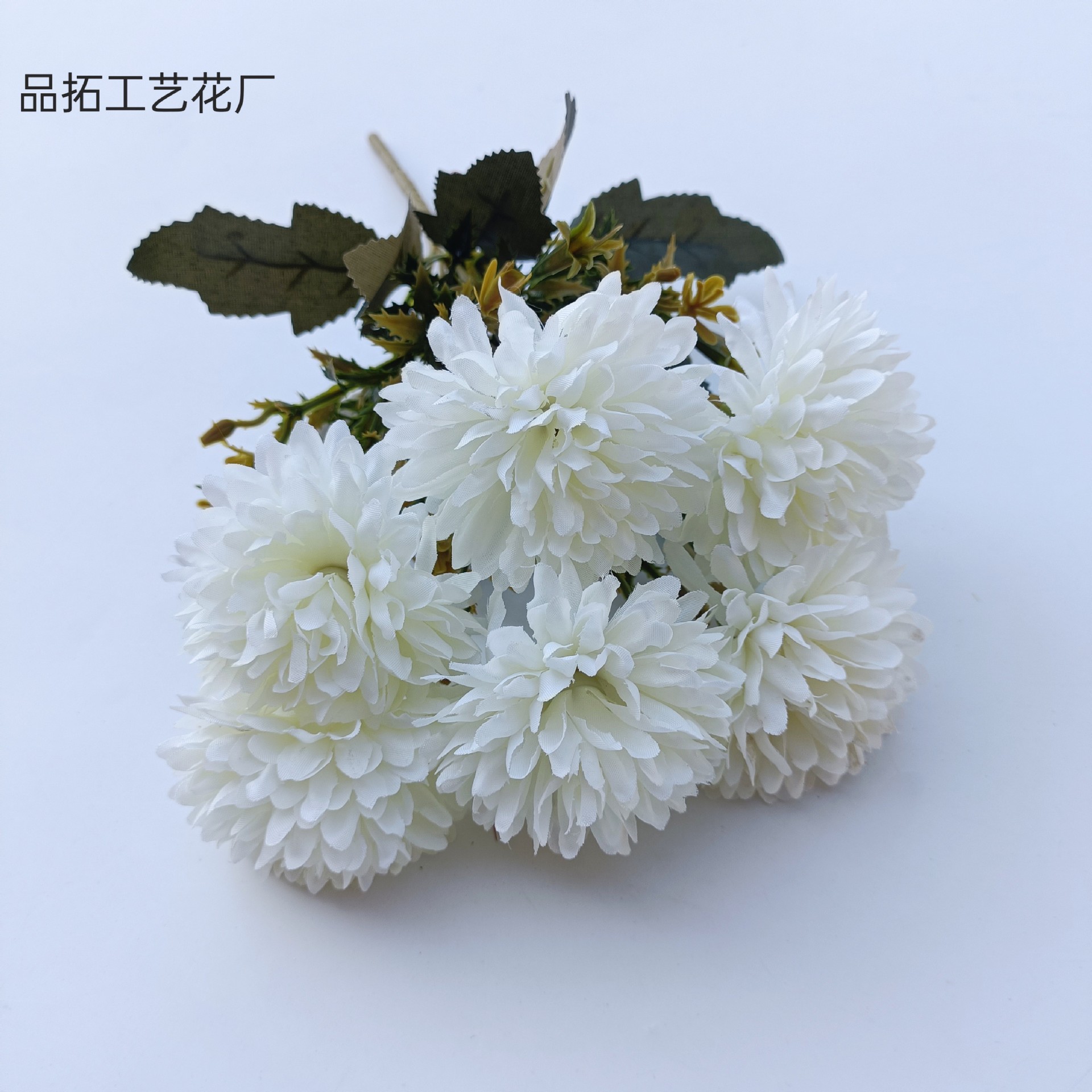 화이트