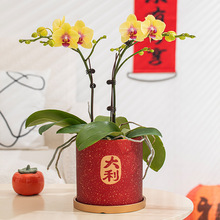 ʽm󼪇LմɻSֱNtɫm