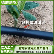 16mm滴灌带农业蔬菜大棚滴灌均匀节水 农用灌溉滴水贴片式滴灌带